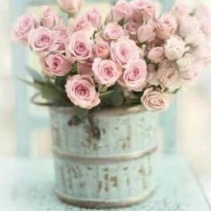 Meet your Posher, Edna